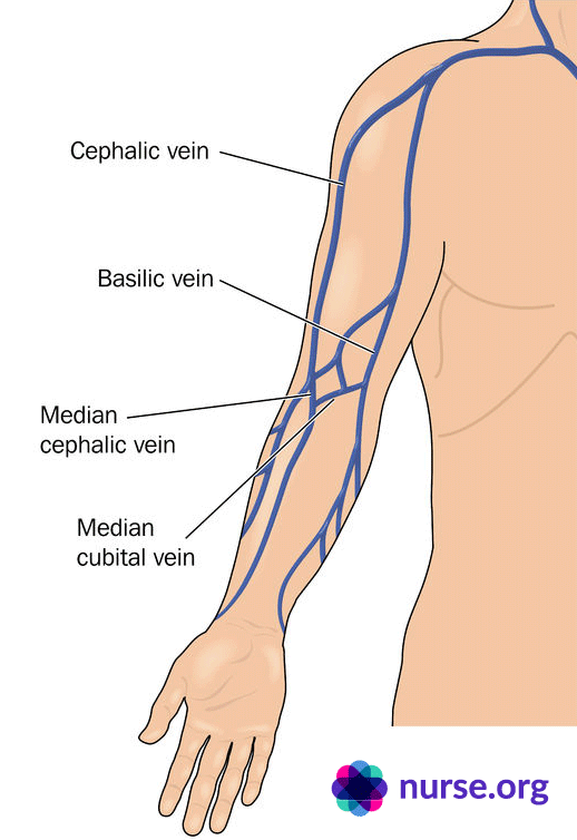 arm-veins-blood-draw-norg-vein-finder-vein-finder-review